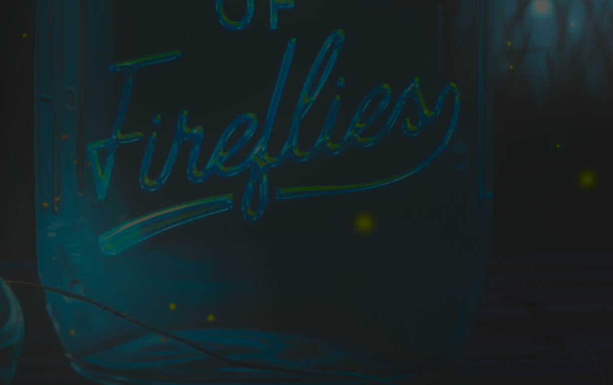 Cover of Under the Light of Fireflies – Coming-of-Age Novel by Lee Sanders
